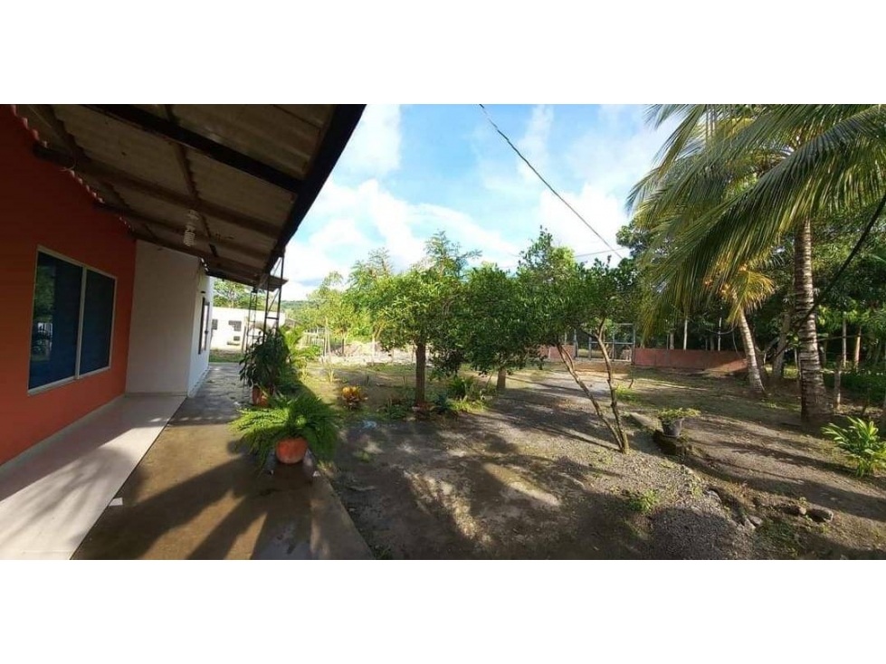VENDO CASA FINCA EN SIERRA CHIQUITA CORDOBA COLOMBIA — foto 2