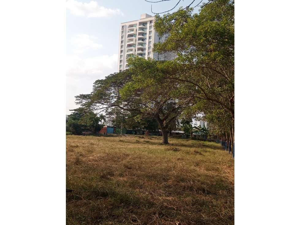 VENDO LOTES EN EL NORTE DE MONTERIA CORDOBA