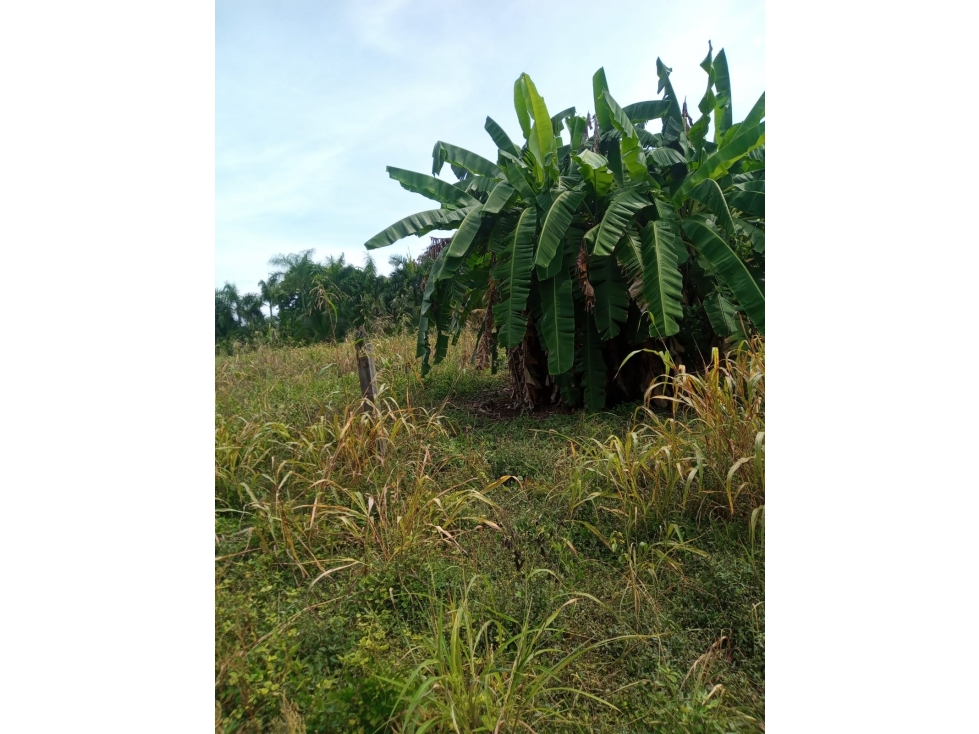 EN VENTA LOTE EN EL BARRIO CALIFORNIA MONTERÍA CÓRDOBA COLOMBIA