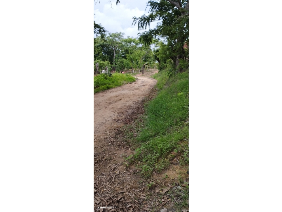 EN VENTA LOTE EN BESITO VOLAO SABANAL MONTERIA CORDOBA — foto 2