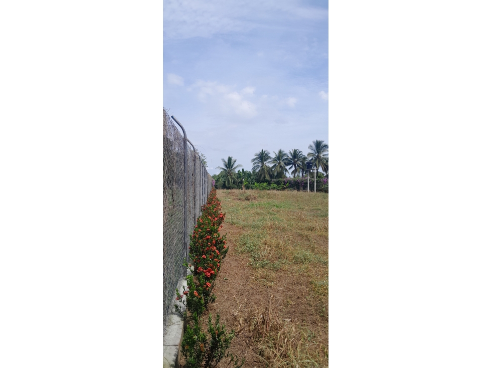 TERRENO PARA LA VENTA UBICADO EN EL FARO 1 VÍA AGUAS NEGRAS — foto 3