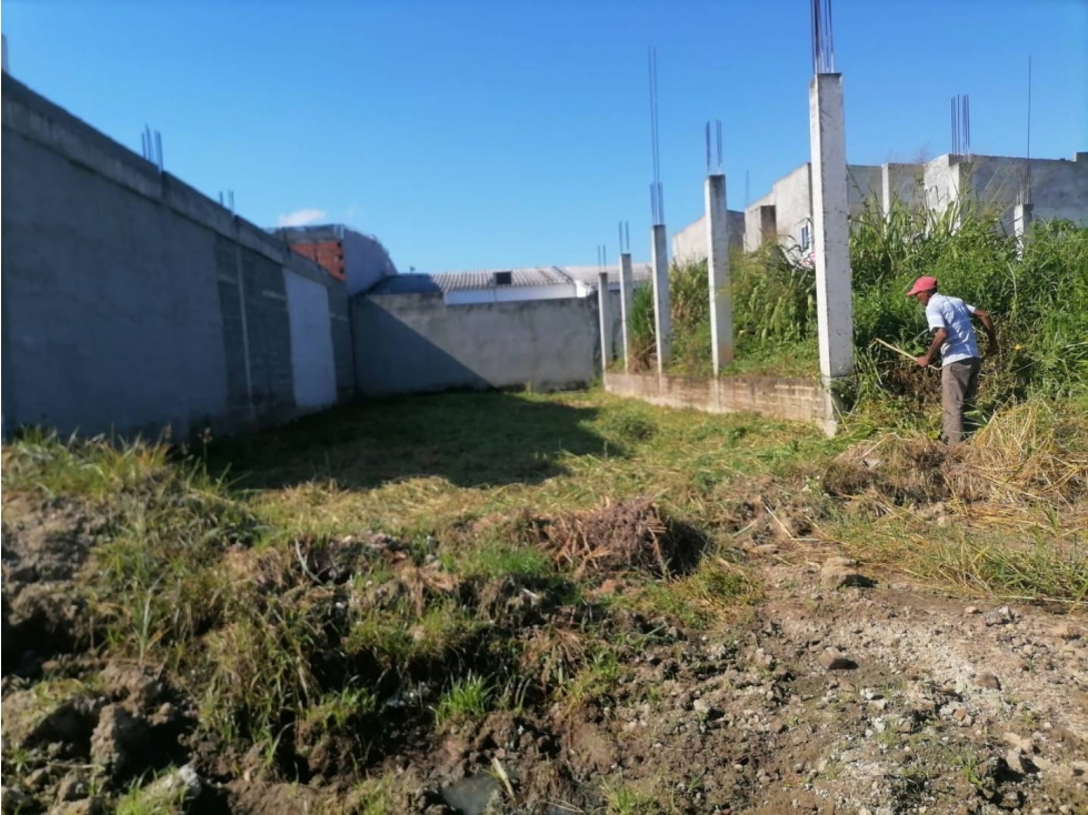 VENDO LOTE MEDIANERO EN EL BARRIO CAMPO ALEGRE MONTERIA CORDOBA — foto 2