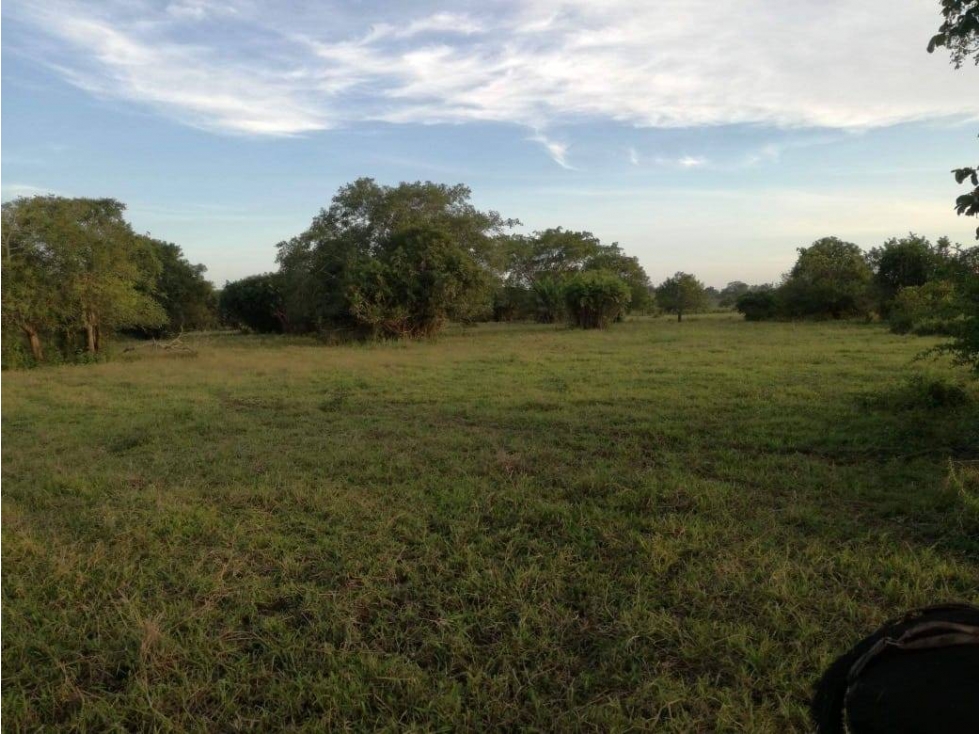 VENDO FINCA EN PUEBLO NUEVO CORDOBA COLOMBIA - 4