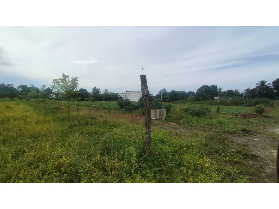 VENTA DE LOTES EN CALIFORNIA VIA TERMINAL MOCARI DE MONTERIA — foto 2