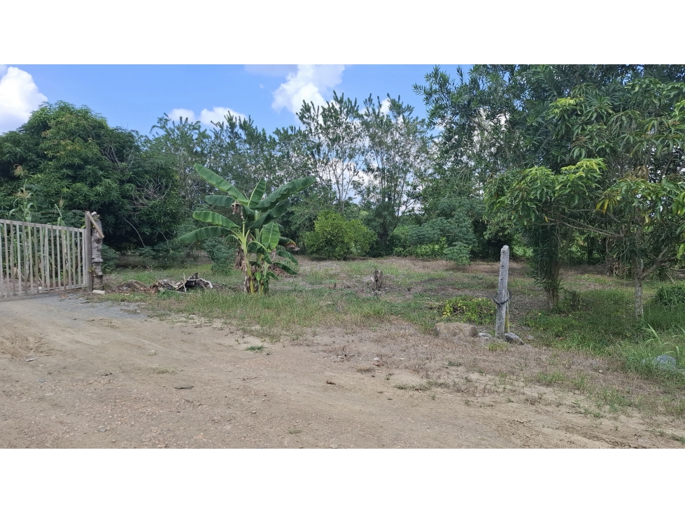 VENDO LOTE CAMPESTRE UBICADO EN SIERRA CHIQUITA MONTERÍA CÓRDOBA — foto 2