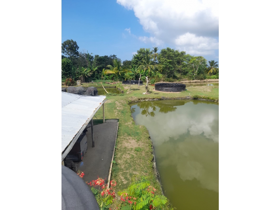 VENDO PISCÍCOLA EN LORICA VÍA A SAN BERNARDO DEL VIENTO CÓRDOBA - 3