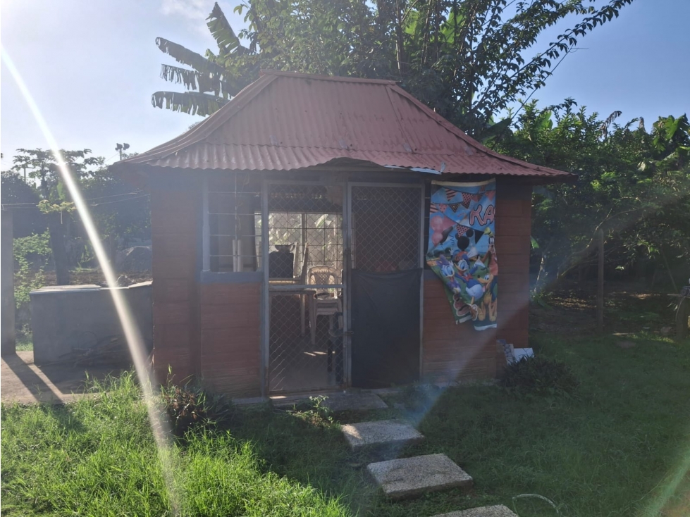 VENDO CASA FINCA EN SAN CARLOS CORDOBA COLOMBIA — foto 3