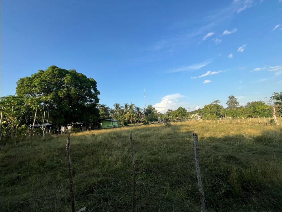 VENDO LOTES CAMPESTRES EN EL CAMPANO CERCA AL SABANAL MONTERIA CORDOBA — foto 2