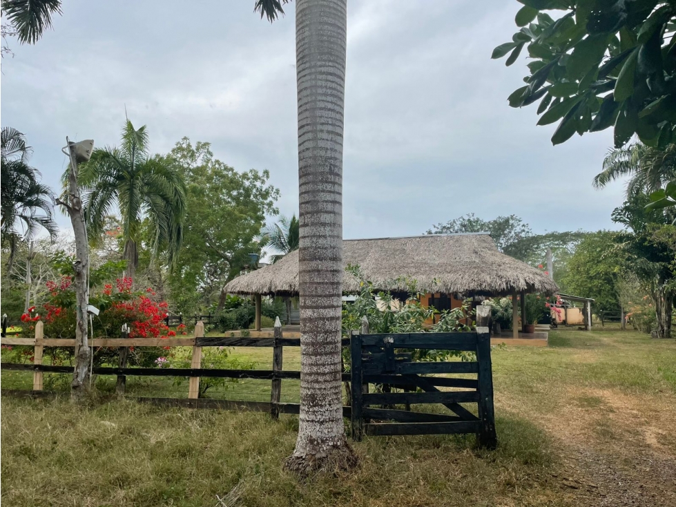VENDO FINCA EN JARAQUIEL MONTERIA CORDOBA — foto 2
