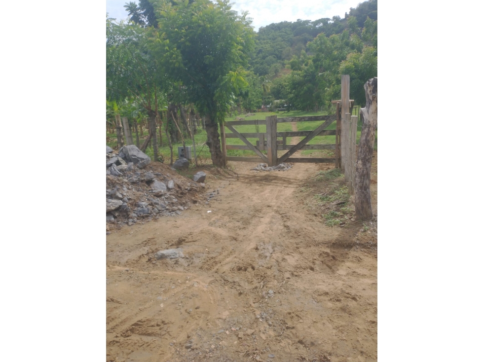 VENDO FINCA EN JARAQUIEL MONTERIA CORDOBA COLOMBIA — foto 3