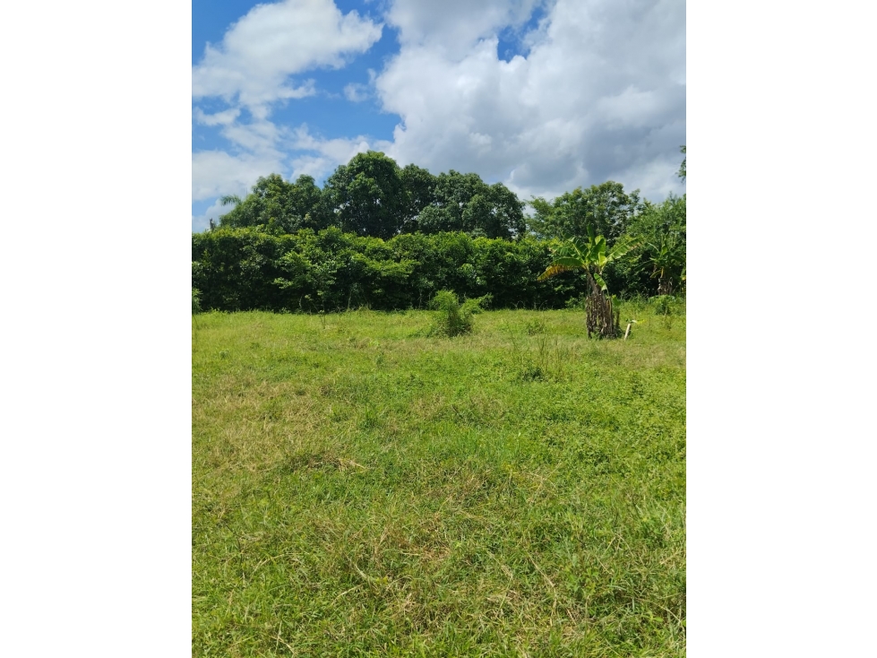 VENDO LOTE EN CAÑO VIEJO LAS LAMAS MONTERIA CORDOBA — foto 3