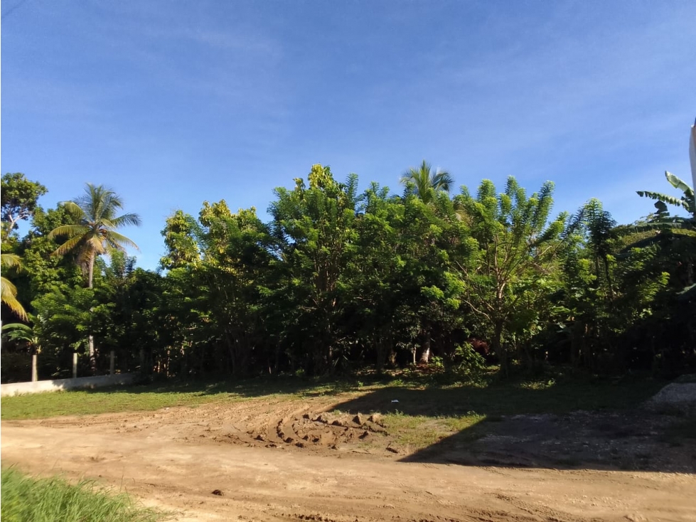 VENDO LOTE UBICADO EN PLAYA PLANCA SAN ANTERO, CÓRDOBA — foto 4