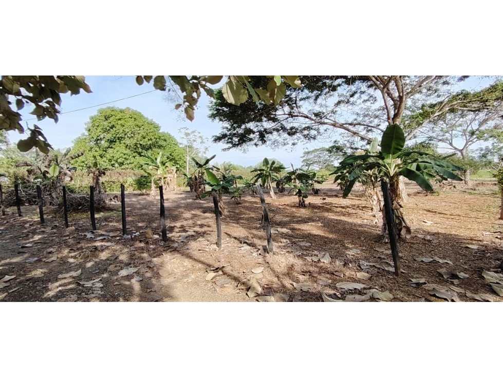 VENDO LOTE CAMPESTRE VÍA ARBOLETES MONTERÍA CÓRDOBA — foto 3