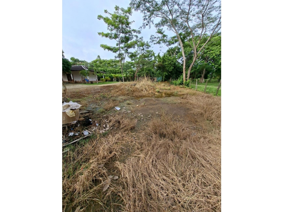 VENDO LOTE COMPESTRE MONTERIA VIA PLANETA RICA - 2