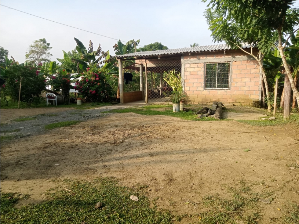 VENDO CASA CAMPESTRE EN CAÑO VIEJO LAS LAMAS MONTERIA CORDOBA