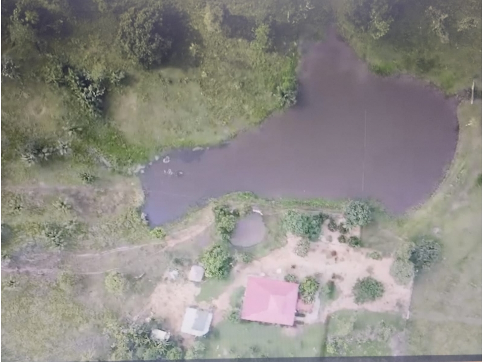 VENDO FINCA EN CARRIZAL SAN CARLOS MONTERIA CORDOBA — foto 6