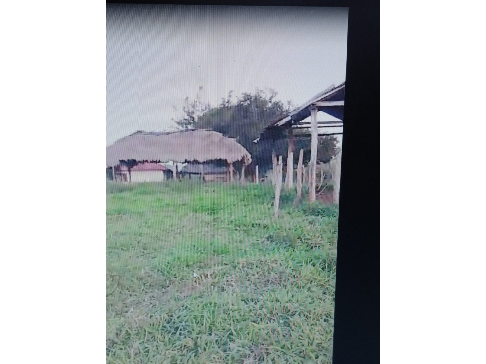 VENDO FINCA ENTRE SAN CARLOS Y CARRIZAL CORDOBA — foto 2