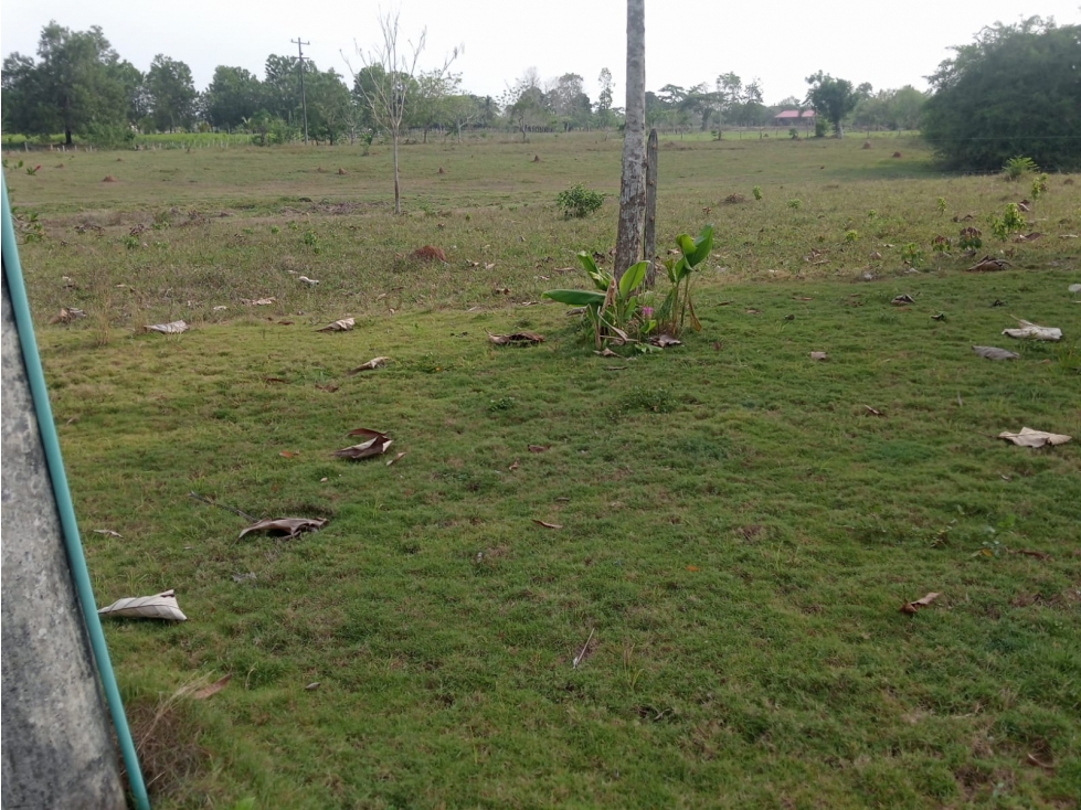 VENDO FINCA EN CAÑO VIEJO LAS LAMAS VIA A PLANETA RICA CORDOBA — foto 2