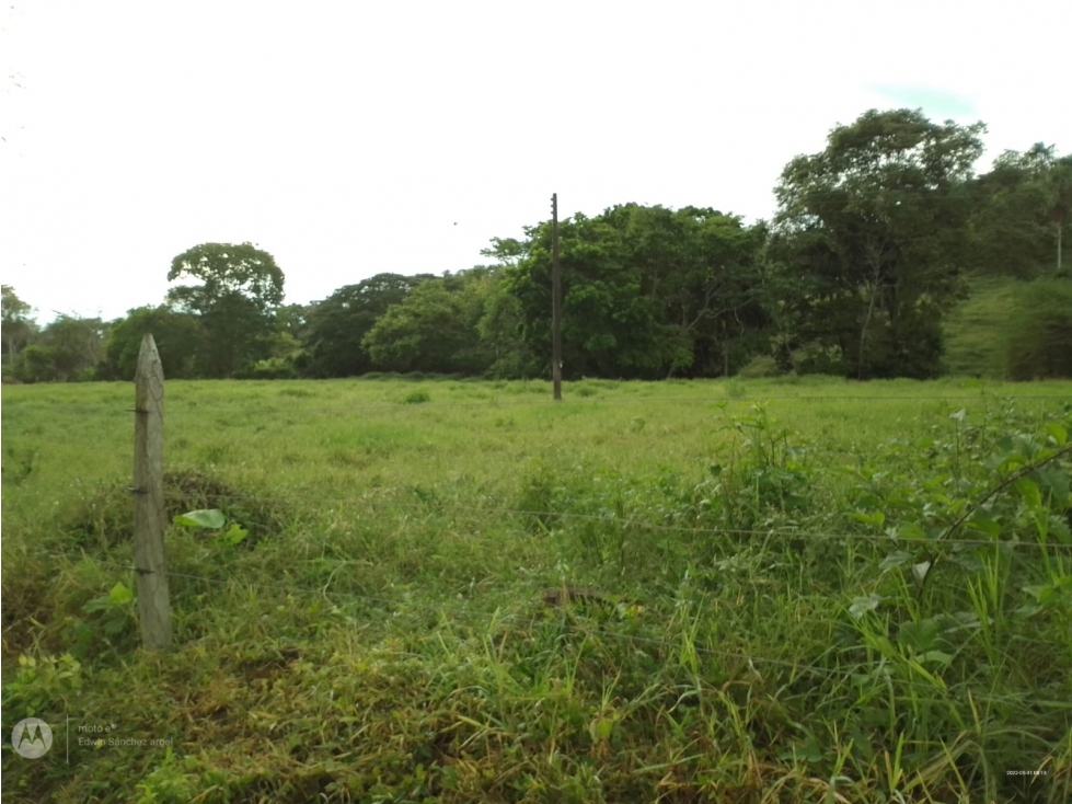 VENDO FINCA EN CANALETE CORDOBA COLOMBIA - 6