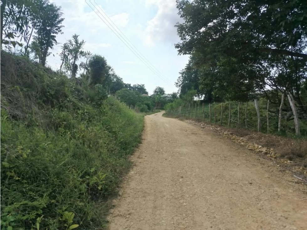 VENDO FINCA EN MONITOS CORDOBA - 1
