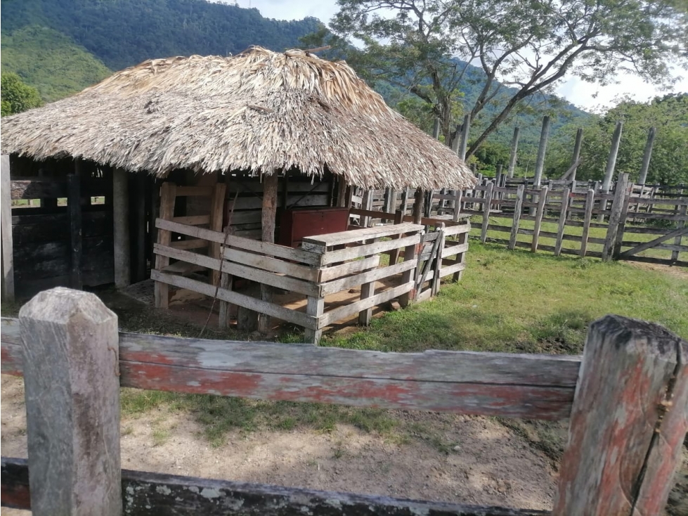 VENDO FINCA EN TIERRALTA CORDOBA COLOMBIA - 2