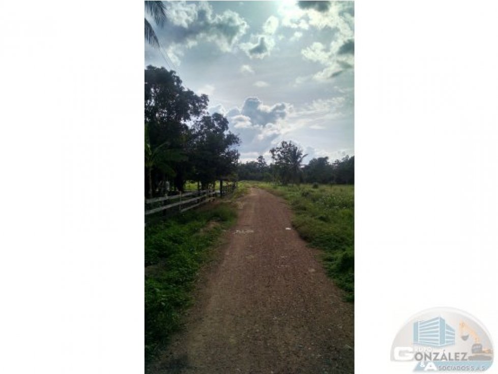 EN VENTA LOTE URBANO BUENAVENTURA LOS GARZONES MONTERÍA CÓRDOBA — foto 3