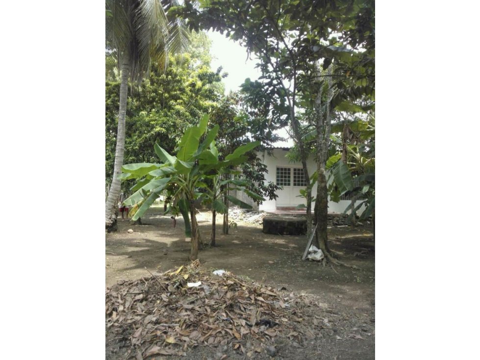 SE VENDE CASA FINCA RETIRO DE LOS INDIOS CERETE CORDOBA COLOMBIA - 3