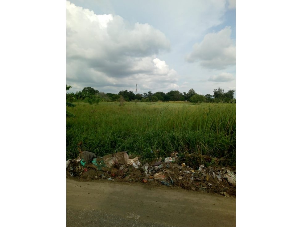 EN VENTA FINCA EN LA DOCTRINA AL LADO RIO SINU LORICA COLOMBIA - 2