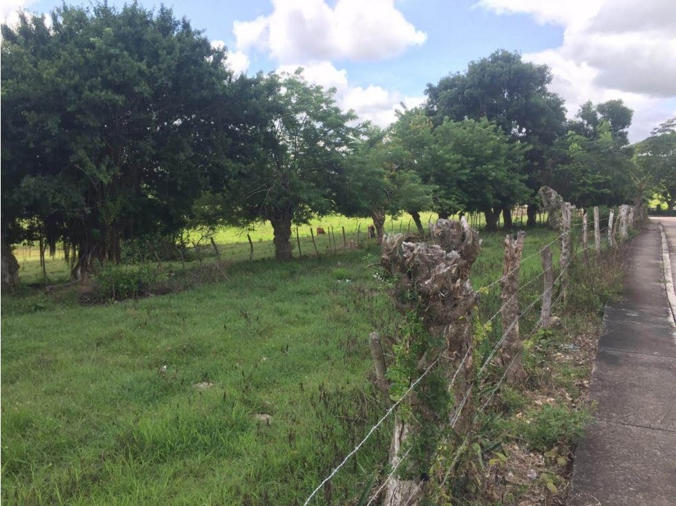 EN VENTA LOTE COMPESTRE PLAYA BLANCA SAN ANTERO COLOMBIA - 4
