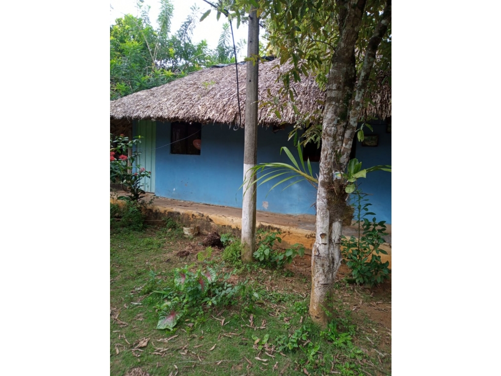 EN VENTA FINCA EN LOMA VERDE MONTERÍA COLOMBIA — foto 3
