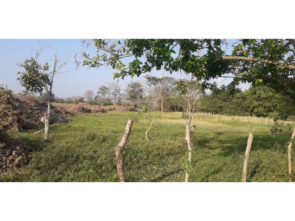EN VENTA LOTE EN EL BARRIO LA CASTELLANA MONTERIA CORDOBA — foto 3