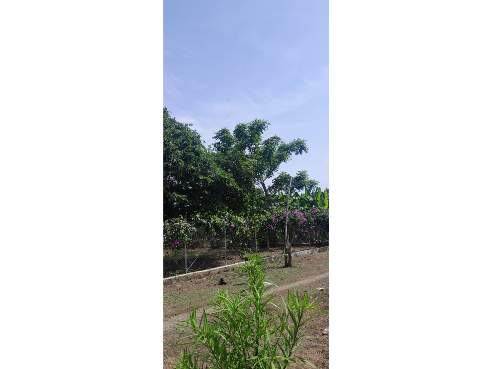 TERRENO PARA LA VENTA UBICADO EN EL FARO 1 VÍA AGUAS NEGRAS — foto 4