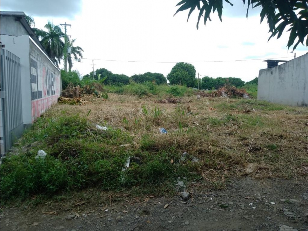 VENDO DOS LOTES EN LA URBANIZACION BONANZA MONTERIA CORDOBA — foto 2