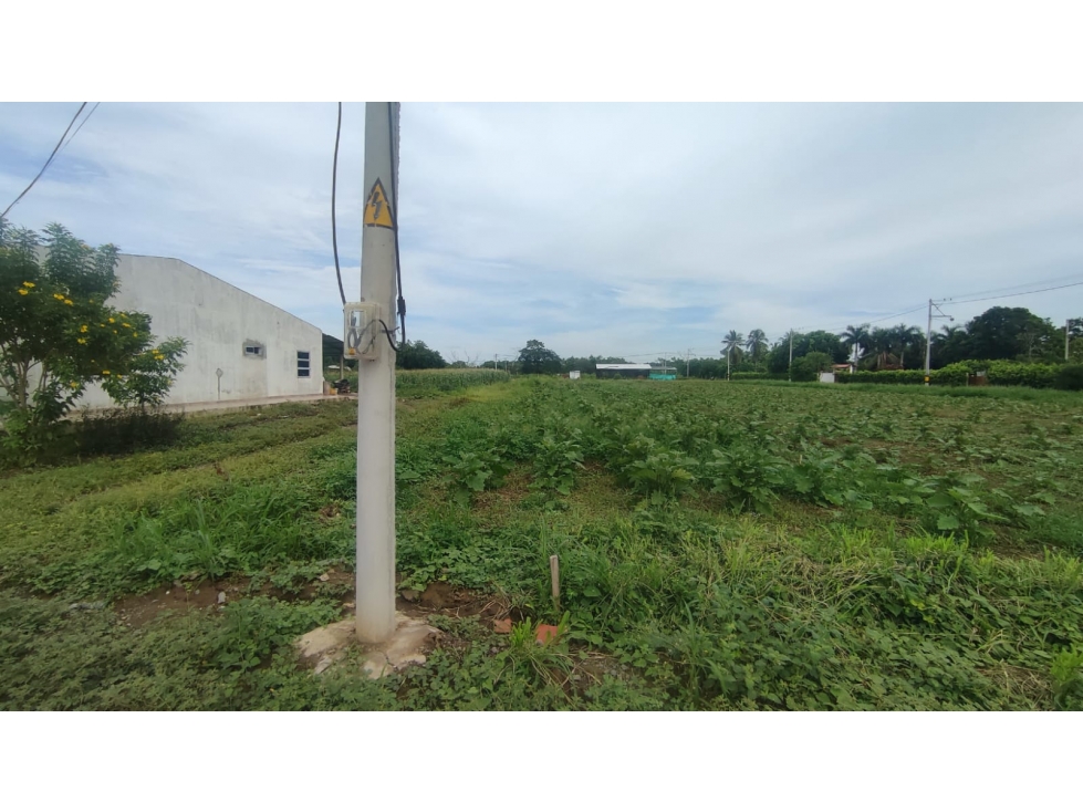 VENTA DE LOTES EN CALIFORNIA VIA TERMINAL MOCARI DE MONTERIA — foto 3