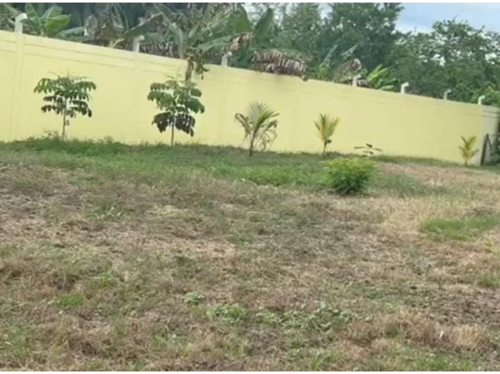 EN VENTA CASA FINCA EN EL SABANAL MONTERIA CORDOBA — foto 3