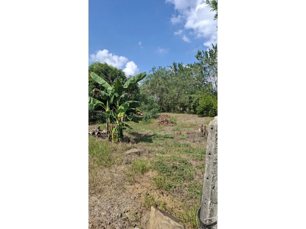 VENDO LOTE CAMPESTRE UBICADO EN SIERRA CHIQUITA MONTERÍA CÓRDOBA — foto 3