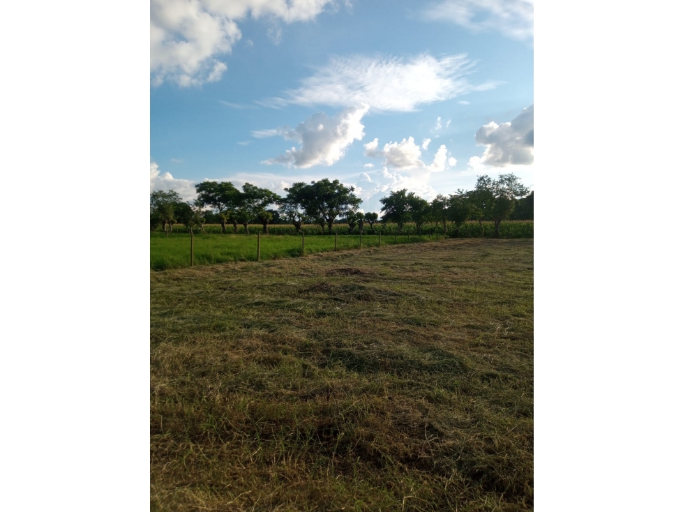 EN VENTA LOTE EN AGUAS NEGRAS CONJUNTO CERRADO FARALLONES CAMPESTRE — foto 3
