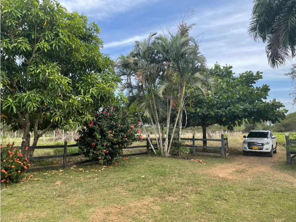 VENDO FINCA EN JARAQUIEL MONTERIA CORDOBA — foto 3