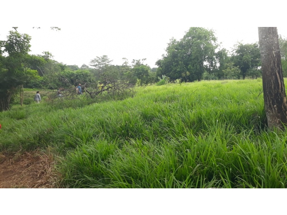 VENDO FINCA EN LA VIA A´PLANETA RICA CORDOBA