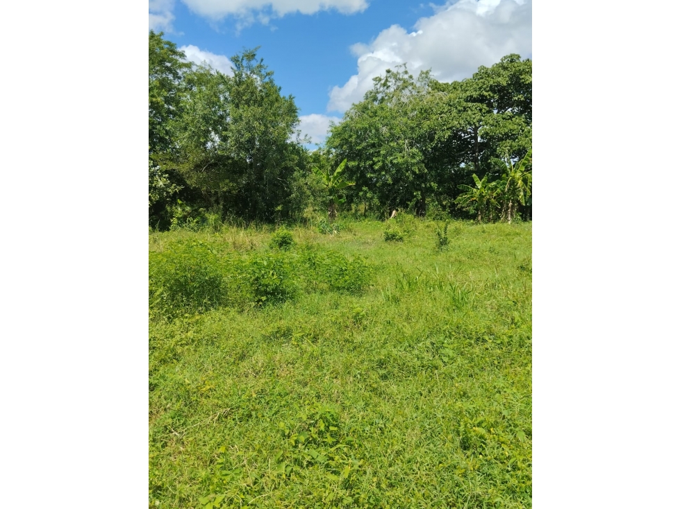 VENDO LOTE EN CAÑO VIEJO LAS LAMAS MONTERIA CORDOBA — foto 4