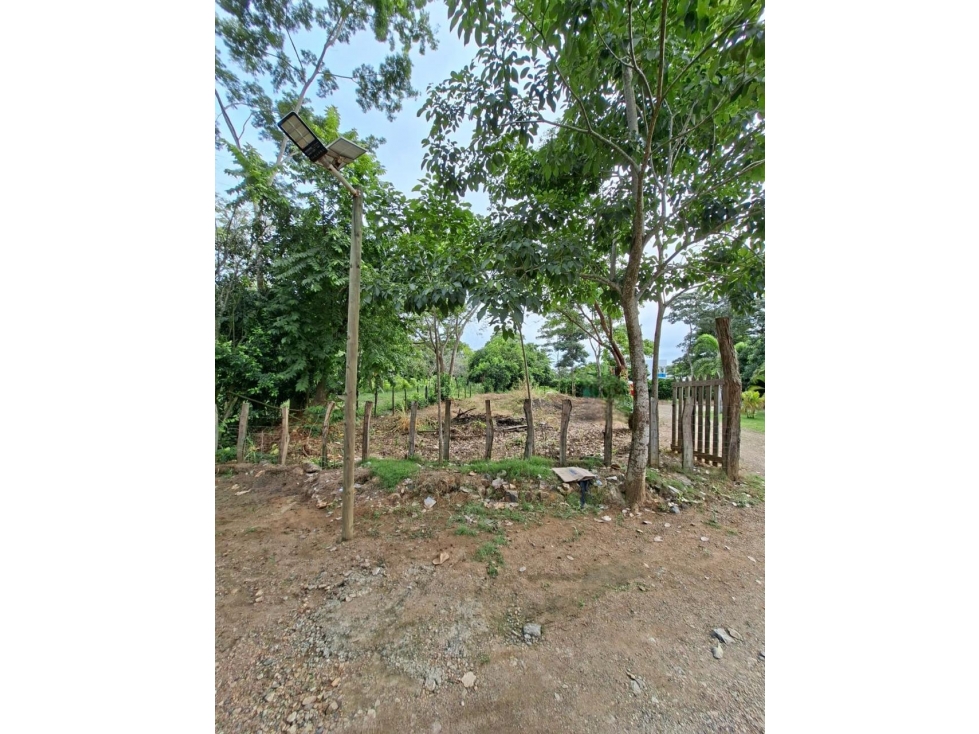 VENDO LOTE COMPESTRE MONTERIA VIA PLANETA RICA - 3