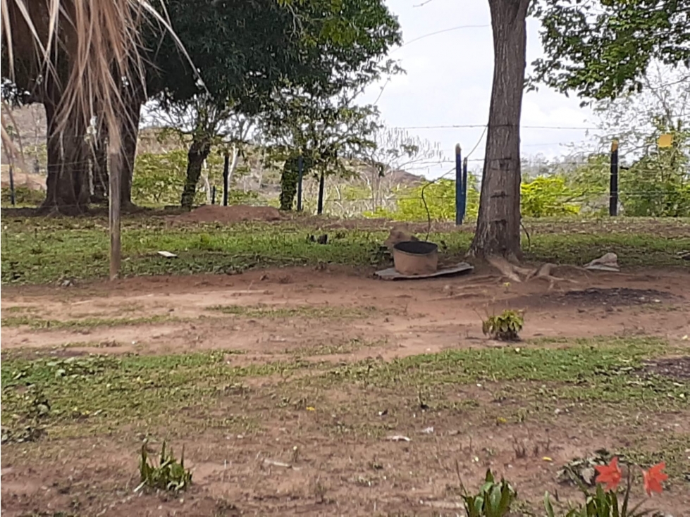 VENDO FINCA EN CIENAGA DE ORO CORDOBA - 3