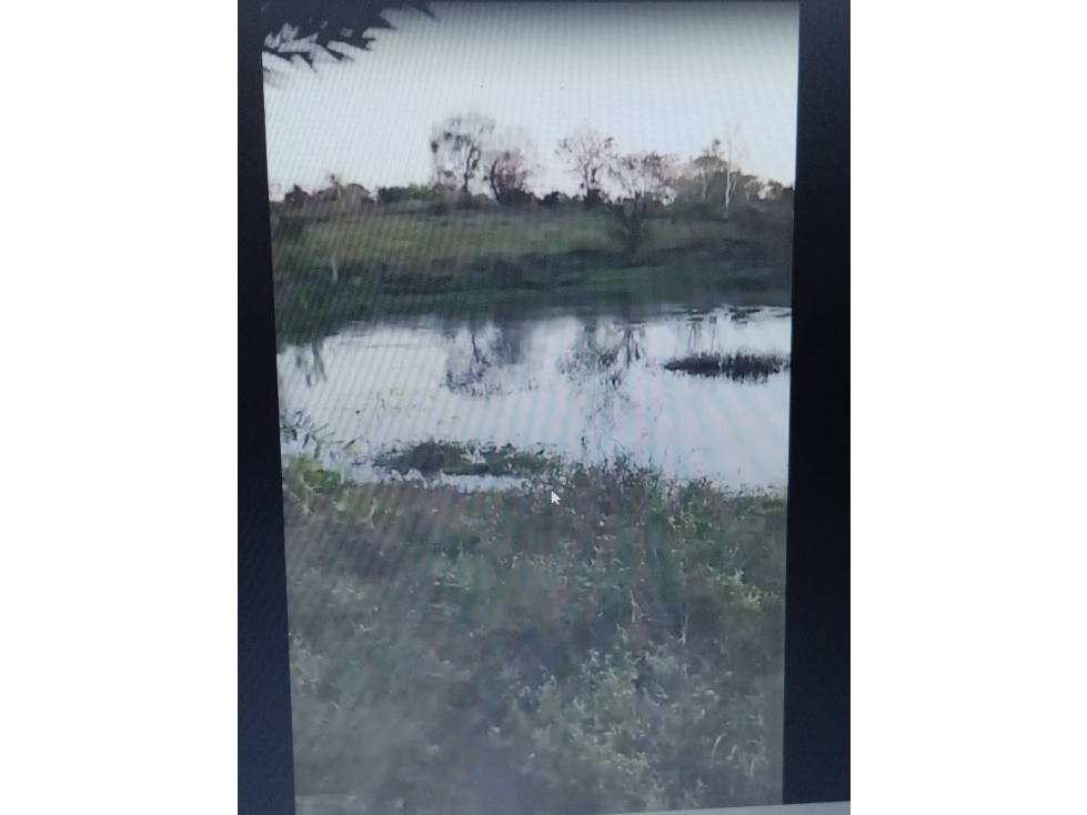 VENDO FINCA ENTRE SAN CARLOS Y CARRIZAL CORDOBA — foto 5