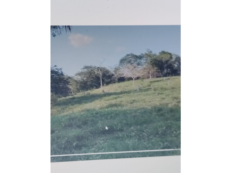 VENDO FINCA VIA MONTERIA PLANETA RICA KILOMETRO 32