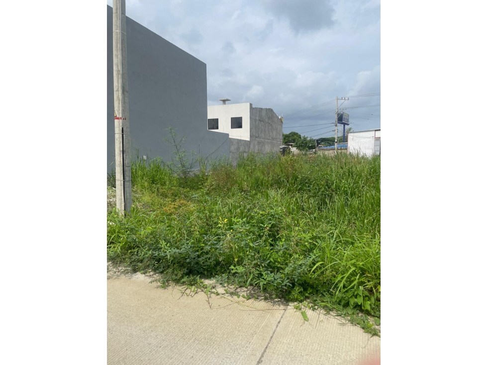 VENDO LOTE EN EL NORTE DE MONTERIA CORDOBA — foto 2