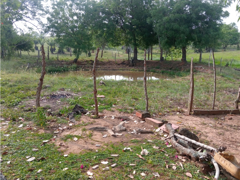VENDO FINCA EN SAN CARLOS CORDOBA VIA A PLANETA RICA CORDOBA — foto 5