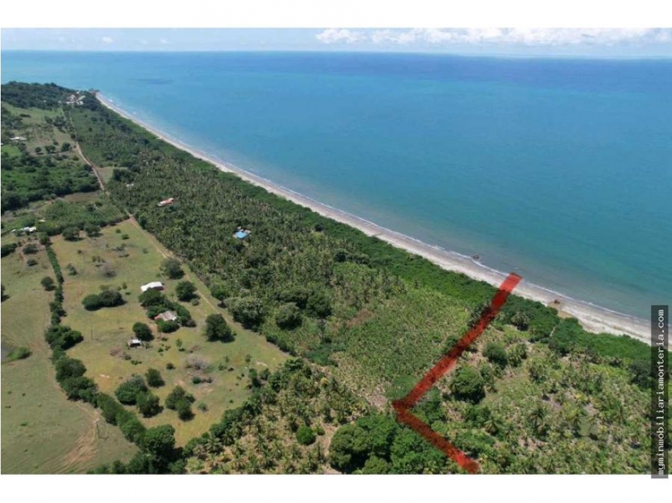 VENDO FINCA FRENTE AL MAR UBICADA EN PUERTO ESCONDIDO CÓRDOBA - 3