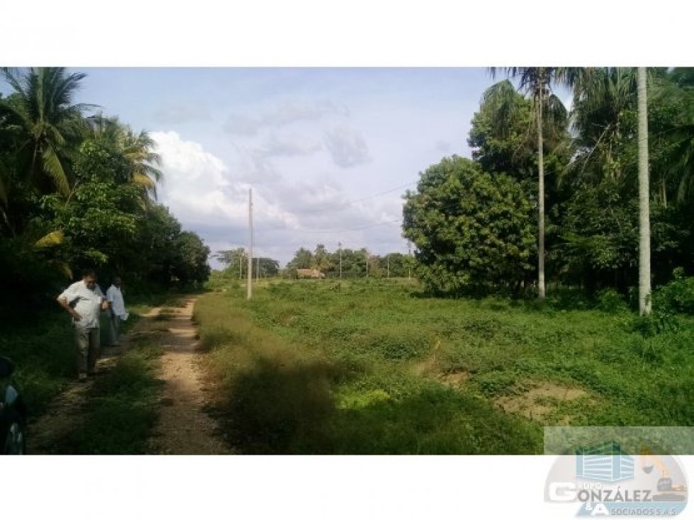 EN VENTA LOTE URBANO BUENAVENTURA LOS GARZONES MONTERÍA CÓRDOBA — foto 4