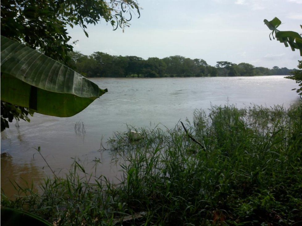 EN VENTA FINCA EN LA DOCTRINA AL LADO RIO SINU LORICA COLOMBIA - 5