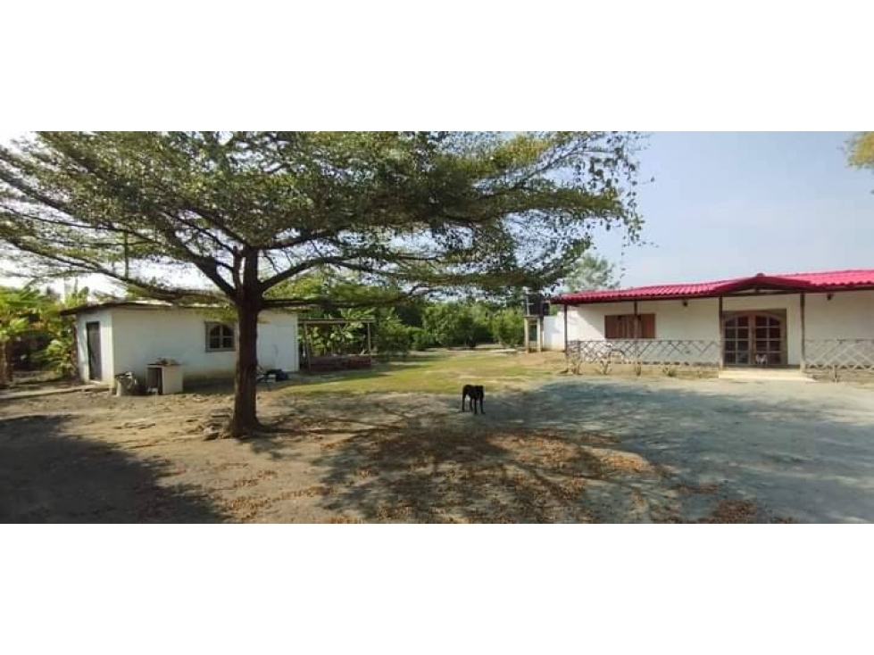EN VENTA CASA FINCA EN BOCA DE LA CEIBA MONTERIA CORDOBA — foto 4